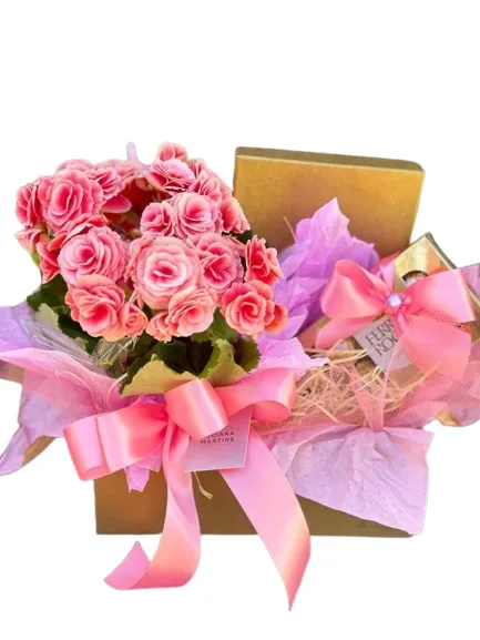 Box Amorosa Box Amorosa