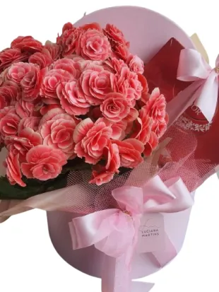 Box Amorosa Com Chocolate Lindt Box Amorosa Com Chocolate Lindt