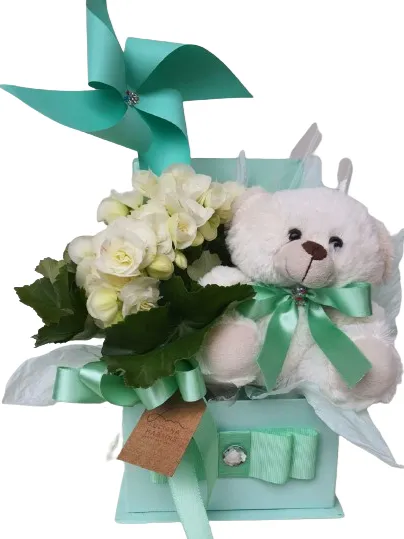 Caixa Maternidade UrsoTed Caixa Maternidade UrsoTed