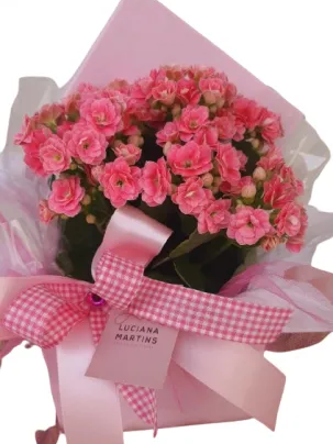 Vaso Calandiva na Caixa P